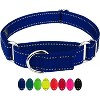 Country Brook Petz Reflective Nylon Martingale Dog Collar - 3 of 4
