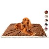 Kritter Planet Puppy Blanket, Super Soft High Pile Dog Blankets and Throws Cat Fleece Sleeping Mat for Pet Small Animals 45x30 - 2 of 4