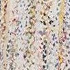 ivory/multi