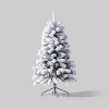4.5' Flocked Douglas/Virginia White Led 5mm No Cap Winter White - Wondershop™ - 3 of 4
