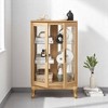 2-Door Lighted Glass Curio Cabinet with Mirrored Back, Adjustable Shelves & Tempered Glass Doors –Retro Display Cabinet for Office,Bulb Included - 3 of 4