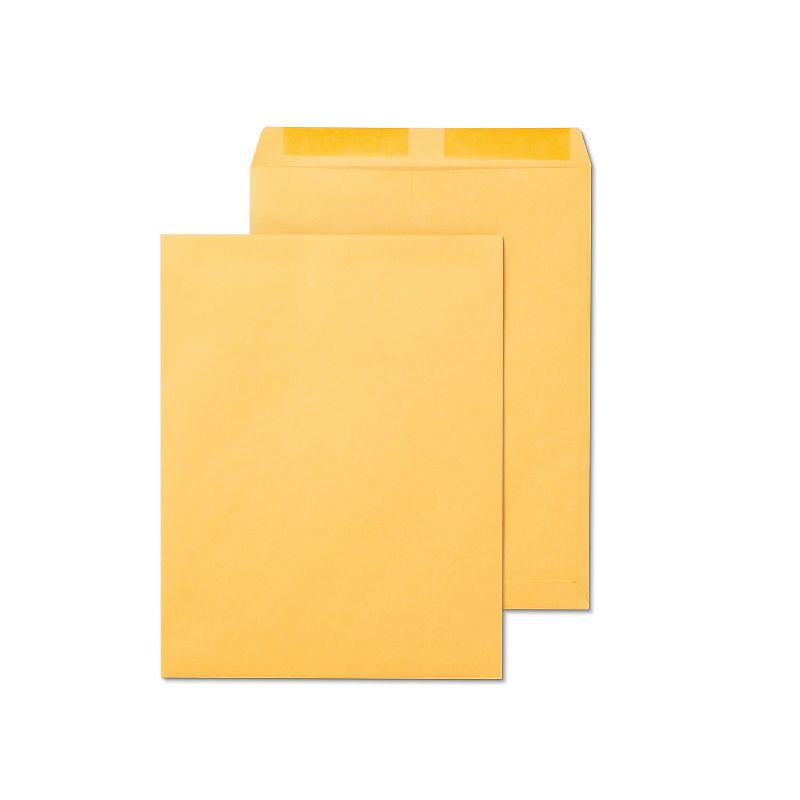 HITOUCH BUSINESS SERVICES Gummed Catalog Envelopes 12" x 15.5" Brown 100/Box SPL534784, 1 of 5