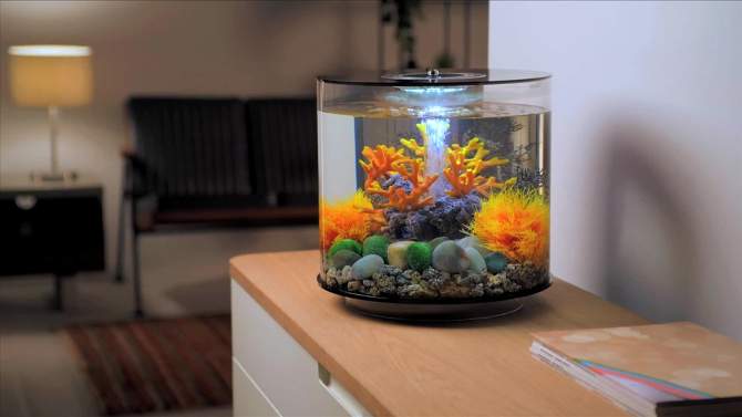 biOrb Aquatic Sea Lily Aquarium Artificial Plants, 6 of 10, play video
