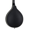 Luna Moonbird A-Style Mandolin Satin Black - 2 of 4