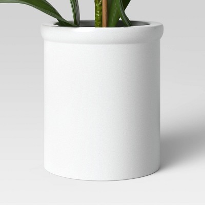 Small Potted Orchid - Threshold&#8482;