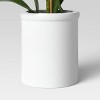 Small Potted Orchid - Threshold™ - image 4 of 4