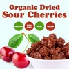 Organic Dried Sour Cherries - by Food To Live - 4 of 4