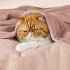 Bedsure Flannel Blanket – Solid Color Plush Throw, Ultra Soft and Fuzzy, 300GSM Lightweight Cozy Blanket for Bed or Sofa - 3 of 4