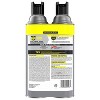 Raid Wasp and Hornet Killer Bug Spray - 2ct/14oz each - 2 of 4