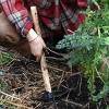 Kings County Tools Cultivator and Hoe Garden Tool - 4 of 4