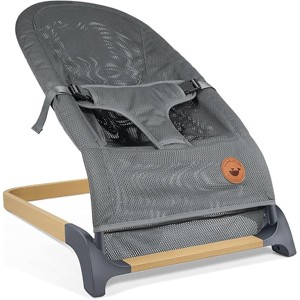 Baby Bouncer, Portable Bouncer Seat for Babies, Infants Bouncy Seat with Mesh Fabric, Natural Vibrations (Dark Grey) - 1 of 1
