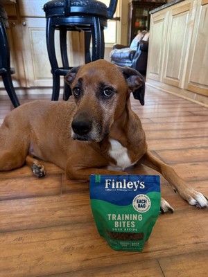 Guest review image 1 of 3, zoom in