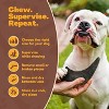 WhiteTail Naturals Water Buffalo Horns – 3-Pack Medium Odorless Chew Bones for Aggressive Chewers & Puppies - 4 of 4