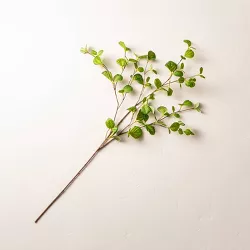 28" Faux Hazel Leaf Plant Stem - Hearth & Hand™ with Magnolia