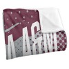 Alabama Am University Fan Zone Silky Touch Super Soft Throw Blanket 50x60 - 3 of 4