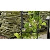 Ultimate Innovations Self-Watering Square Indoor Outdoor Planter Box with Trellis 9.84"x9.84"x40.75" - 2 of 4