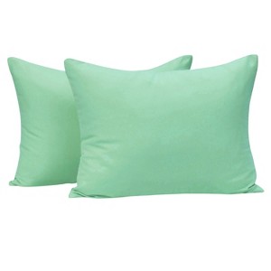 2 Pack Brushed Microfiber Zippered Toddler Pillowcases, Super Soft and Cozy Travel Pillow Cases - NTBAY - 1 of 4