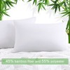 PiccoCasa Zipper Closure Breathable Luxury Viscose From Bamboo Pillowcases 2 Pcs - 2 of 4