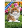 Trends International Keith Kimberlin - Maine Coon Kitten Unframed Wall Poster Prints - 3 of 4