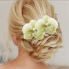 Unique Bargains Women's Phalaenopsis Faux Pearl Duckbill Clip 2 Pcs - 2 of 4
