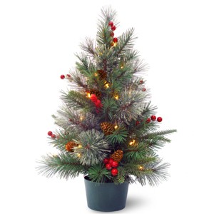 2' Pre-lit Colonial Potted Artificial Christmas Tree Warm White Lights - National Tree Company - 1 of 4
