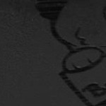 purple and gold football fan