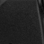 purple and gold football fan