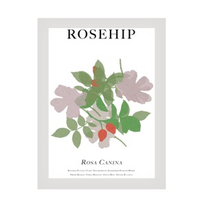 Trademark Fine Art - Cartissi   Rosehip Canvas Art - 1 of 4