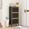 Modern Freestanding Shoe Cabinet with Flip Drawers and Removable Shelf - Ideal for Entryway, Hallway, Living Room - 2 of 4
