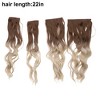 Unique Bargains Women's Water Ripple Curls Hair Extensions High Temperature Fiber 22in Gradient Beige 1 Set - 3 of 3