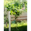 Gardener's Supply Company | Standing Wood Raised Garden Bed Kit 2.5ftx 4ft | Outdoor for Vegetables, Flowers, Herbs | Deck, Patio or Garden - brown - 2 of 4