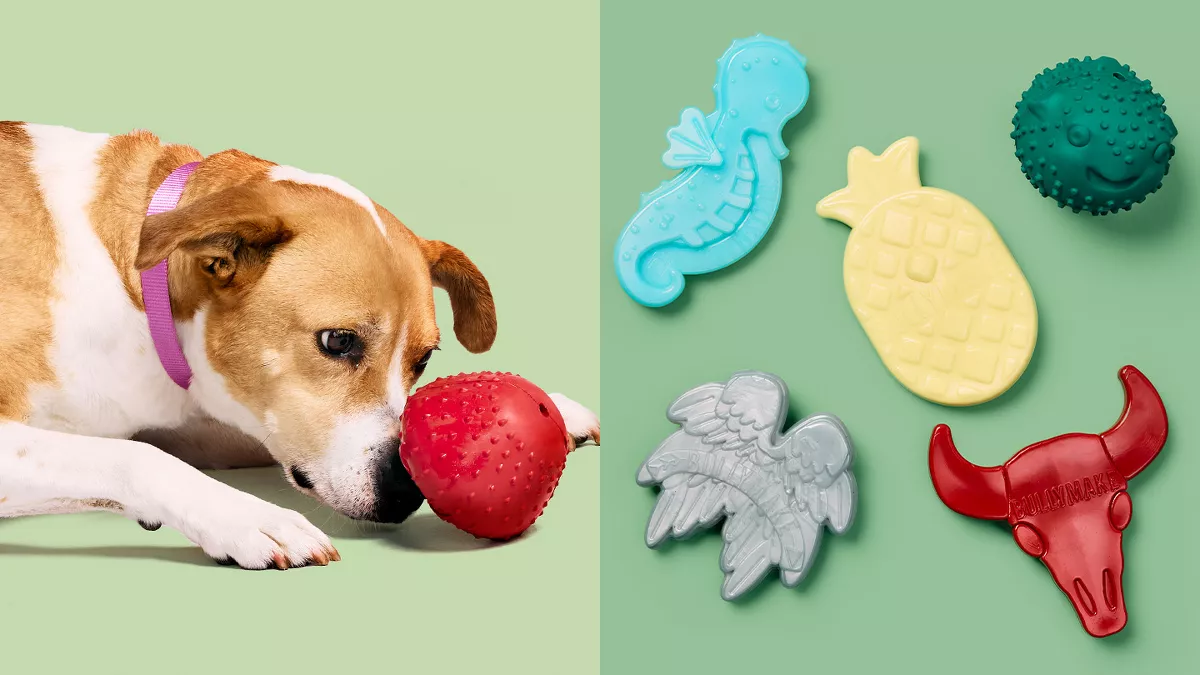 Dog Toys Target