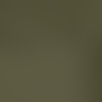 dark olive green