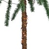 Northlight 6' Pre-Lit Dual Artificial Tropical Outdoor Patio Palm Trees - Clear Lights - 3 of 4