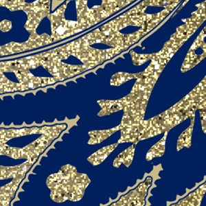 naval academy midshipmen