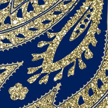 naval academy midshipmen