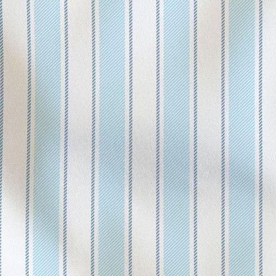 cape stripe blue print