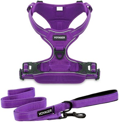 Voyager Dual-Attachment No-Pull Dog Harness with 6ft Leash Combo 