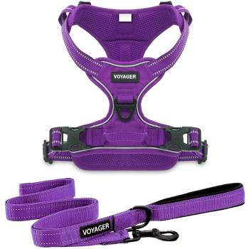 Voyager Dual-Attachment No-Pull Dog Harness with 6ft Leash Combo 