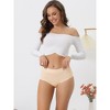 Allegra K Women's Breathable Cotton Comfortable Stretch 3 Layers High Waist Briefs Multicolored - 4 of 4