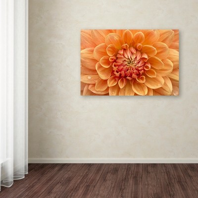 Large Orange Dahlia Canvas Art with Wooden Frame