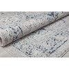 Rugs America Cora Transitional Vintage Area Rug - 4 of 4