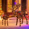 Tangkula 2-Piece Lighted Christmas Moose Family Set Light-Up Reindeers with 170 Warm White LED Lights Stakes & Zip Ties Included - 3 of 4
