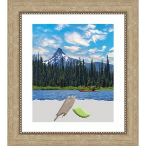 Amanti Art Astor Champagne Picture Frames - 1 of 4