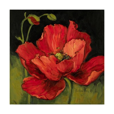 Barbara Mock 'Poppy Blossom' 35" x 35" Red and Green Canvas Art