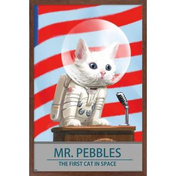 Trends International Fallout 4 - Mr. Pebbles - The First Cat In Space Framed Wall Poster Prints
