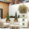 Coucheta Artificial Topiary Trees - Faux Cedar & Cypress in 3-5FT Sizes with UV-Resistant & Pot Options for Indoor/Outdoor Home & Garden Decor - 4 of 4
