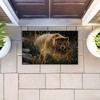 Stupell Industries Crossing Paths Brown Bear Printed Outdoor Door Mat, design by Collin Bogle, 18"x30" - 3 of 4