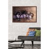 Trends International Laurie Prindle - Run To Freedom Framed Wall Poster Prints - 2 of 4