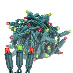 Novelty Lights 17 Feet 50 LED Christmas Mini Light String on Green Wire, 5mm Wide Angle Bulbs, Connectable, Indoor/Outdoor Decor, UL Listed - 1 of 4